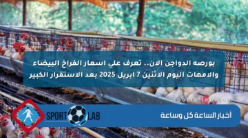بورصة الدواجن الآن.. تعرف على أسعار الفراخ البيضاء والأمهات اليوم الإثنين 7 أبريل 2025 بعد الاستقرار الكبير